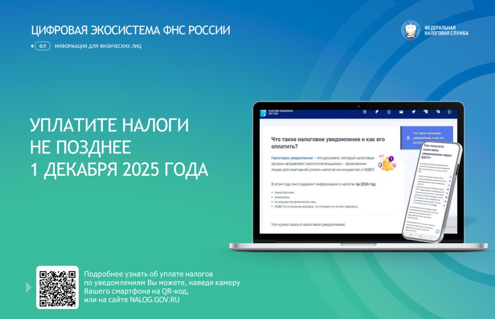 О сроках уплаты налогов в 2025 году